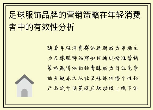 足球服饰品牌的营销策略在年轻消费者中的有效性分析